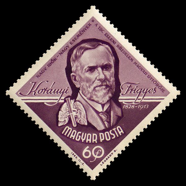 Dr Frigyes Korányi (1828-1913) physician