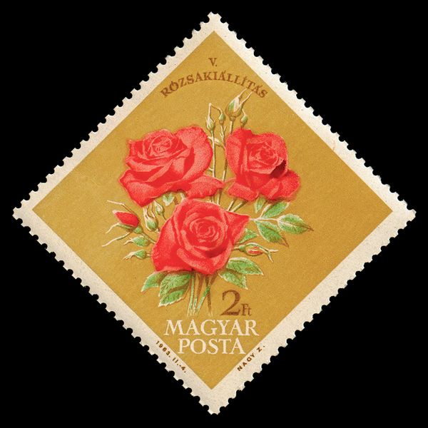 5th Hungarian Rose Exhibition