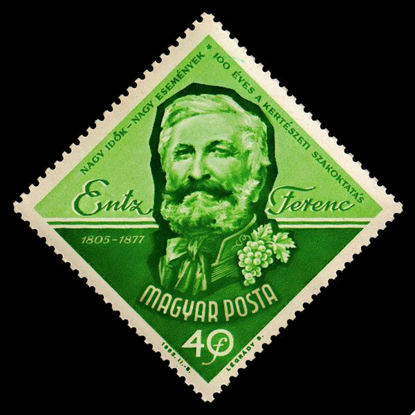 Ferenc Entz (1805-1877) horticulturist