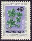 Four-leaf Clover