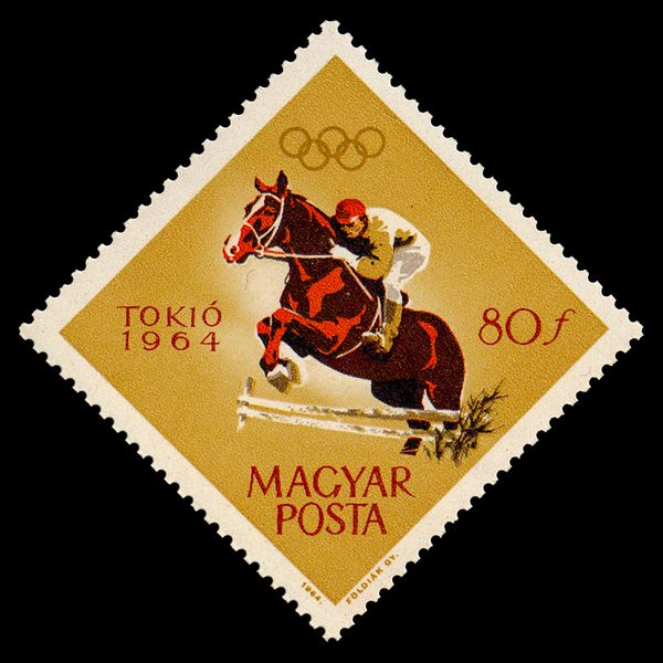 Show Jumping