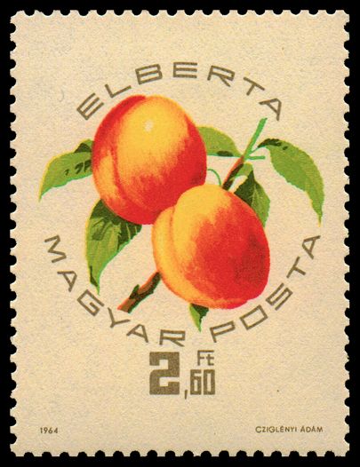 Elberta