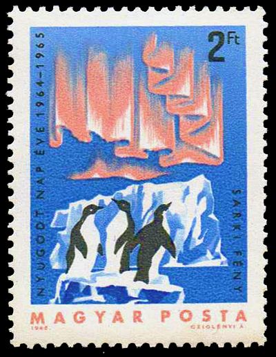 Adelie Penguin (Pygoscelis adeliae), Aurora Borealis