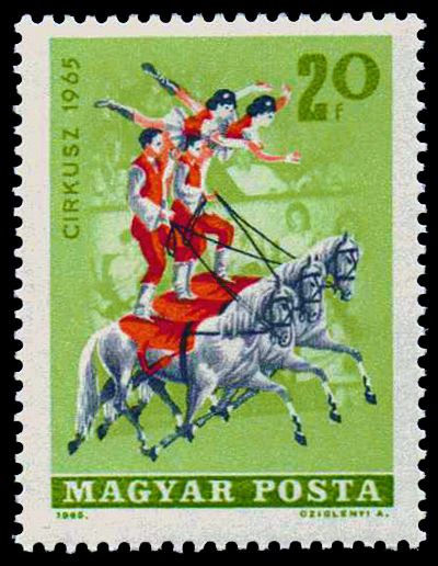 Circus - Equestrians, Horse (Equus ferus caballus)