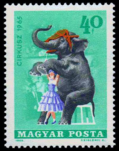 Asian Elephant (Elephas maximus) with Dompteuse