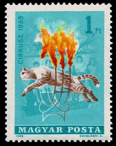 Circus - Wildcat jumping through burning hoops
