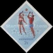 Volleyball