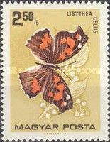 Nettle-tree Butterfly (Libythea celtis)