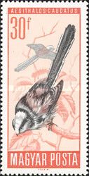 Longtailed Tit (Aegithalos caudatus)