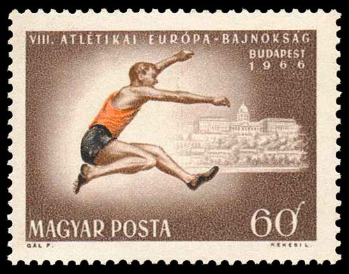 Long Jump & Buda Castles