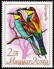 European Bee-Eater (Merops apiaster)