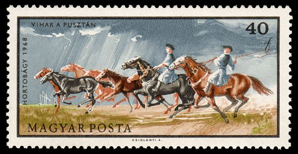 Horses in Storm (Equus ferus caballus)