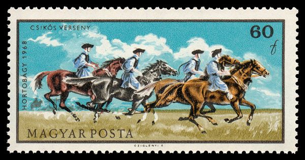 Horse Race