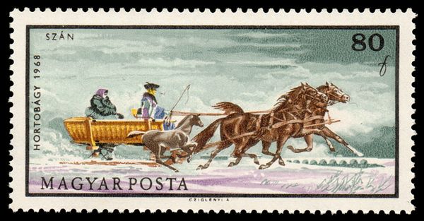 Horsedrawn Sleigh (Equus ferus caballus)