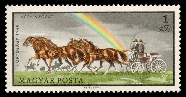 Four-in-Hand (Equus ferus caballus)