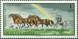 Four-in-Hand (Equus ferus caballus)