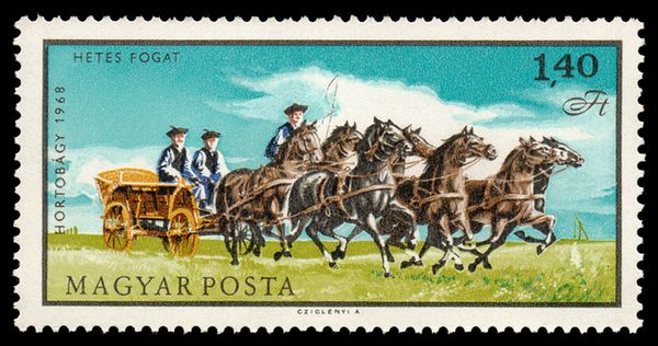 Farm Wagon by Seven Horses (Equus ferus caballus)