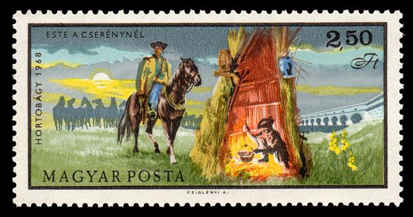 Campfire on the Range, Horse (Equus ferus caballus)