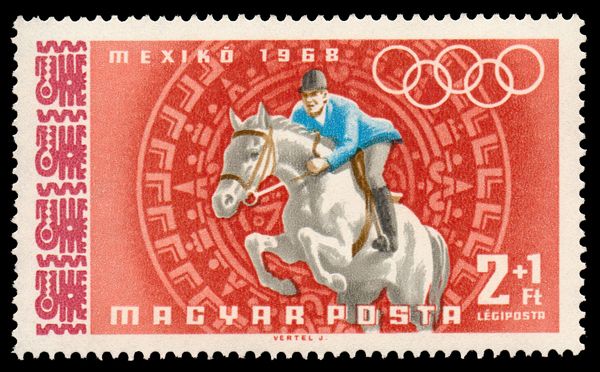 Horse-Jump (Equus ferus caballus)