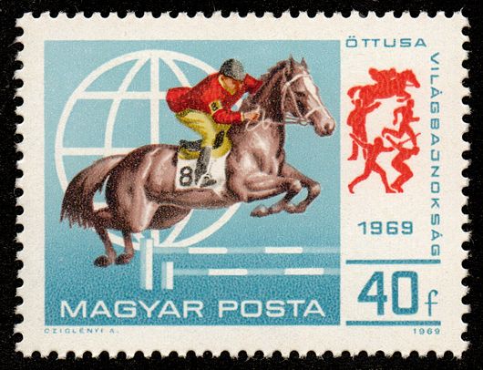 Steeplechase, Horse (Equus ferus caballus)