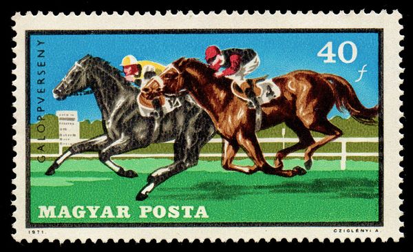 Galloping Horses (Equus ferus caballus)