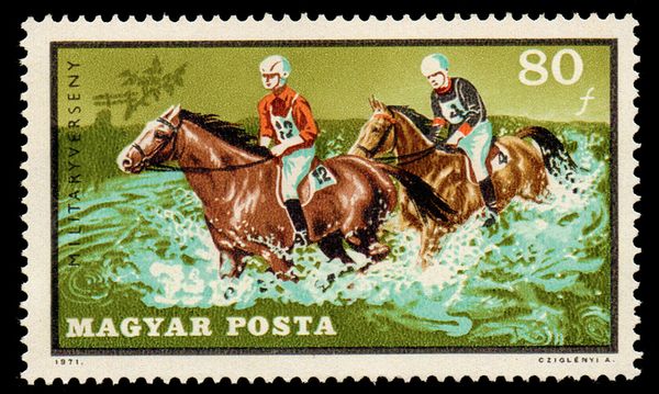 Horses (Equus ferus caballus) Fording River