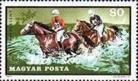 Horses (Equus ferus caballus) Fording River
