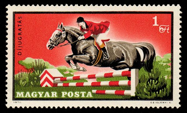 Jumping, Horse (Equus ferus caballus)