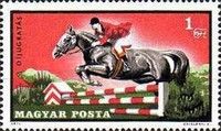 Jumping, Horse (Equus ferus caballus)
