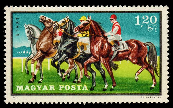 Start, Horse (Equus ferus caballus)