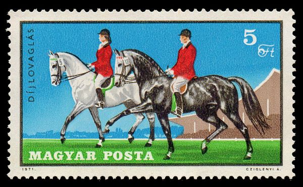 Dressage, Horse (Equus ferus caballus)