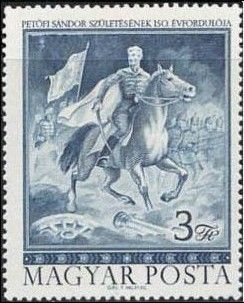 Petőfi on Horseback (Equus ferus caballus)