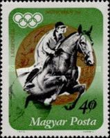 Gold Medalist Andras Balczo, Horse (Equus ferus caballus)