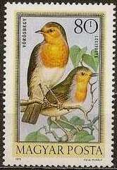 European Robin (Erithacus rubecula)