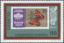 Small Tortoiseshell (Aglais urticae)