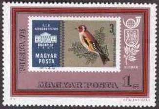 European Goldfinch (Carduelis carduelis)