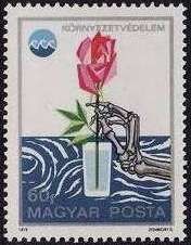 Water Pollution