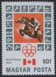 Show Jumping