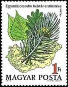 Afforestation of the One Millionth Hectare