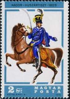 Palatine Officer - Horse (Equus ferus caballus)