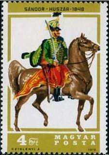 Sándor Hussar, 1848 - Horse (Equus ferus caballus)
