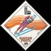 Ski Jumping