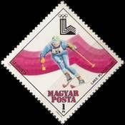 Downhill Skiing