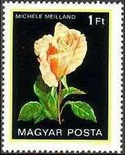 Michèle Meilland