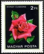 Wendy Cussons