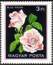 Blue Moon