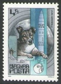 Laika, First Dog in Space (1957), Sputnik 2
