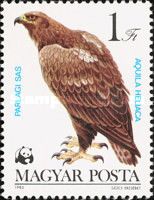 Eastern Imperial Eagle (Aquila heliaca)