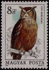 Eurasian Eagle-owl (Bubo bubo)