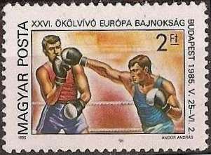 Boxing match